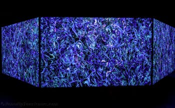 Khaled Sabsabi, Conference of one's self, Australien, Kunstbiennale von Venedig 2026