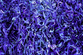 Khaled Sabsabi, Conference of one's self, Australien, Kunstbiennale von Venedig 2026