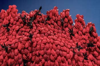 Ebony G. Patterson, Zentralpavillon der Giardini, Kunstbiennale von Venedig 2026