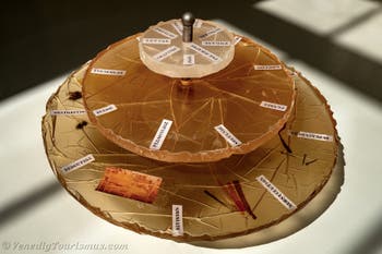 Yto Barrada, Wie Saturn, Frankreich, Kunstbiennale von Venedig 2026