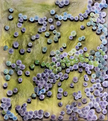 Hala Schoukair, Zentralpavillon der Giardini, Kunstbiennale von Venedig 2026