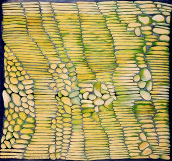 Hala Schoukair, Zentralpavillon der Giardini, Kunstbiennale von Venedig 2026