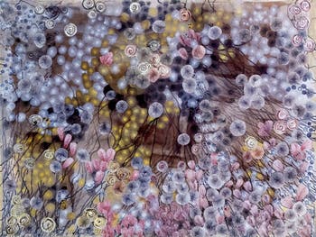 Hala Schoukair, Zentralpavillon der Giardini, Kunstbiennale von Venedig 2026