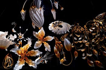 Ranjani Shettar, Under the same sky, Indischer Pavillon, Biennale von Venedig 2026