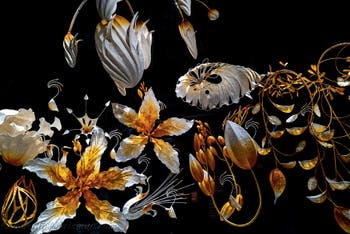 Ranjani Shettar, Under the same sky, Indischer Pavillon, Biennale von Venedig 2026