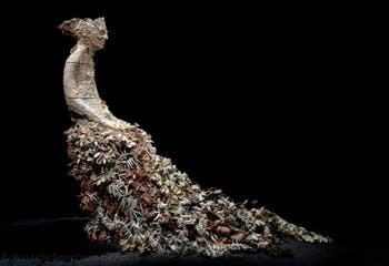 Chiara Camoni, Con te con tutto, Italien, Kunstbiennale von Venedig 2026