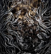 Kambui Olujimi, North Star, Zentralpavillon der Giardini, Kunstbiennale von Venedig 2026