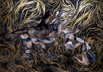 Kambui Olujimi, North Star, Zentralpavillon der Giardini, Kunstbiennale von Venedig 2026