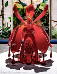Maria Magdalena Campos-Pons, Zentralpavillon der Giardini, Kunstbiennale von Venedig 2026