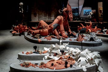 Rajni Perera und Marigold Santos, Efflorescence/The Way We Wake, Corderia dell’Arsenale in Venedig, Kunstbiennale 2026