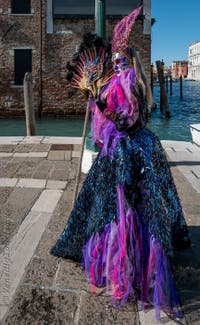 Die Kostümierten des venezianischen Karnevals vor der Madonna della Salute.