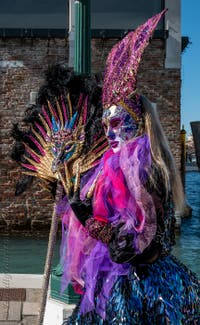 Die Kostümierten des venezianischen Karnevals vor der Madonna della Salute.