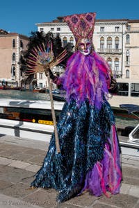 Die Kostümierten des venezianischen Karnevals vor der Madonna della Salute.