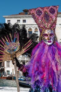 Die Kostümierten des venezianischen Karnevals vor der Madonna della Salute.