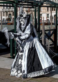 Die Kostümierten des venezianischen Karnevals vor der Madonna della Salute.