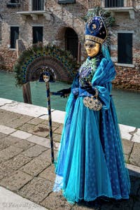 Die Kostümierten des venezianischen Karnevals vor der Madonna della Salute.