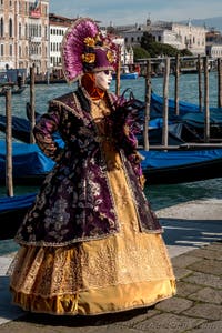 Die Kostümierten des venezianischen Karnevals vor der Madonna della Salute.