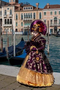 Die Kostümierten des venezianischen Karnevals vor der Madonna della Salute.