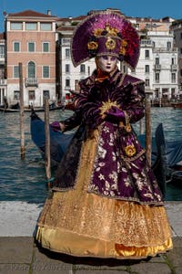 Die Kostümierten des venezianischen Karnevals vor der Madonna della Salute.