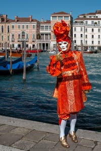 Die Kostümierten des venezianischen Karnevals vor der Madonna della Salute.