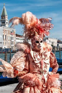 Die Kostümierten des venezianischen Karnevals vor der Madonna della Salute.