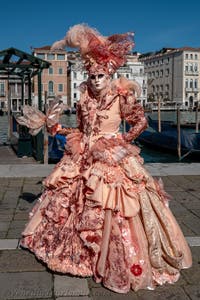 Die Kostümierten des venezianischen Karnevals vor der Madonna della Salute.