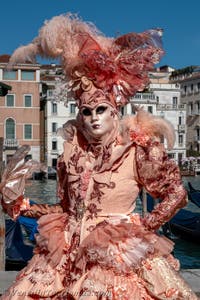 Die Kostümierten des venezianischen Karnevals vor der Madonna della Salute.