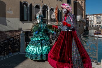 Die Kostümierten des venezianischen Karnevals vor der Madonna della Salute.