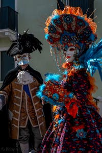 Die Kostümierten des venezianischen Karnevals vor der Madonna della Salute.