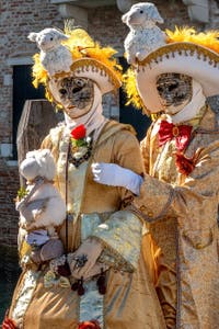 Die Kostümierten des venezianischen Karnevals vor der Madonna della Salute.