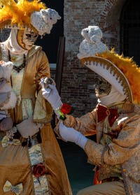 Die Kostümierten des venezianischen Karnevals vor der Madonna della Salute.