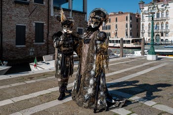 Die Kostümierten des venezianischen Karnevals vor der Madonna della Salute.