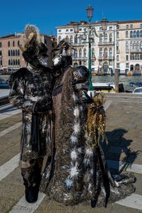 Die Kostümierten des venezianischen Karnevals vor der Madonna della Salute.