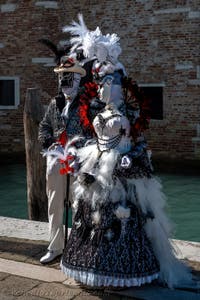 Die Kostümierten des venezianischen Karnevals vor der Madonna della Salute.