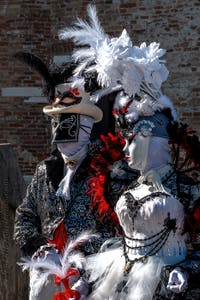 Die Kostümierten des venezianischen Karnevals vor der Madonna della Salute.