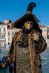 Die Kostümierten des venezianischen Karnevals vor der Madonna della Salute.