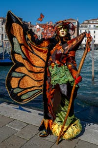 Die Kostümierten des venezianischen Karnevals vor der Madonna della Salute.