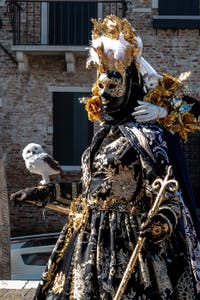 Die Kostümierten des venezianischen Karnevals vor der Madonna della Salute.