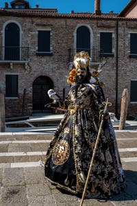 Die Kostümierten des venezianischen Karnevals vor der Madonna della Salute.