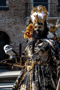 Die Kostümierten des venezianischen Karnevals vor der Madonna della Salute.