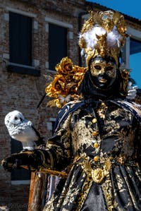 Die Kostümierten des venezianischen Karnevals vor der Madonna della Salute.