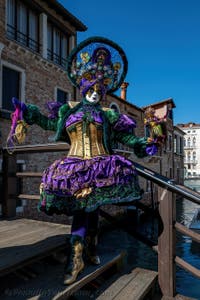 Die Kostümierten des venezianischen Karnevals vor der Madonna della Salute.