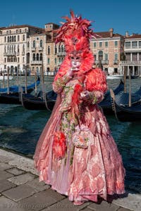 Die Kostümierten des venezianischen Karnevals vor der Madonna della Salute.