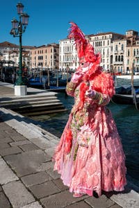 Die Kostümierten des venezianischen Karnevals vor der Madonna della Salute.