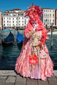 Die Kostümierten des venezianischen Karnevals vor der Madonna della Salute.