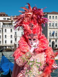 Die Kostümierten des venezianischen Karnevals vor der Madonna della Salute.