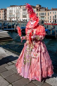 Die Kostümierten des venezianischen Karnevals vor der Madonna della Salute.