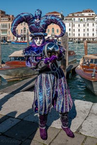 Die Kostümierten des venezianischen Karnevals vor der Madonna della Salute.