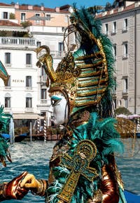 Die Kostümierten des venezianischen Karnevals vor der Madonna della Salute.