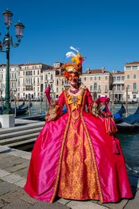 Die Kostümierten des venezianischen Karnevals vor der Madonna della Salute.